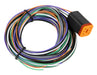 RIFE DT 6 Wire Tefzel Harness for Dual/Triple/Quad Pressure Sensors and DTM block